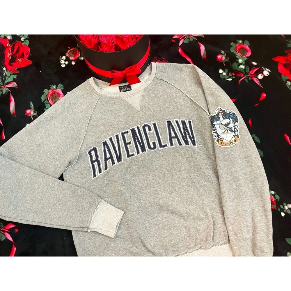 HARRY POTTER RAVENCLAW Hoodie, Rare Find, Size Small - Picture 1 of 4